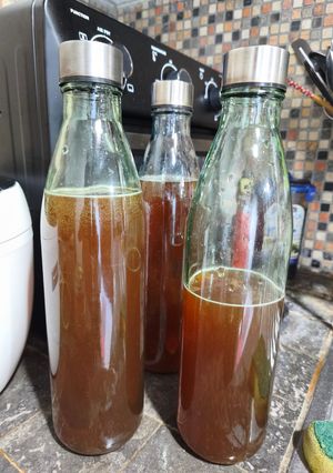 Foto resep Teh Kombuca
