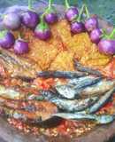 Sambel Rek Pindang Blocok Terong Glatik khas Pesisir Tuban (Panggang+Tempe)