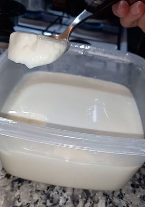 Una foto de YOGUR🍶CASERO 🤗