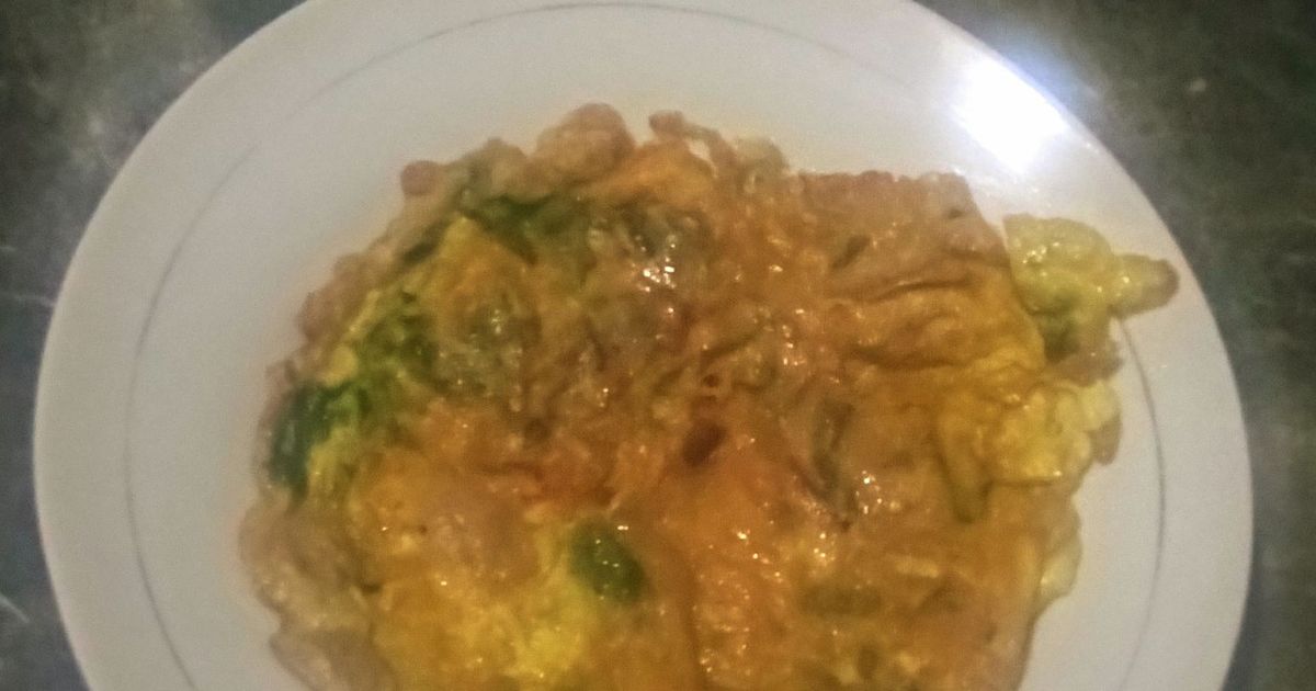 Telur Dadar Bayam Wortel Bakso (149)