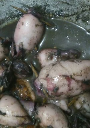 Foto resep Cumi montok si hitam sedap