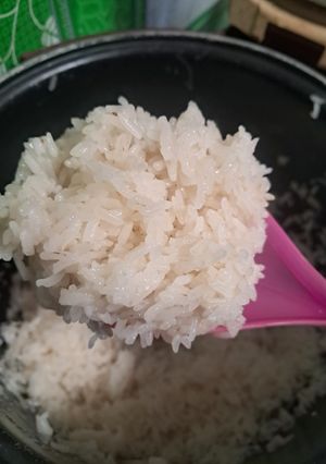 Foto resep Nasi lamak /beras ketan