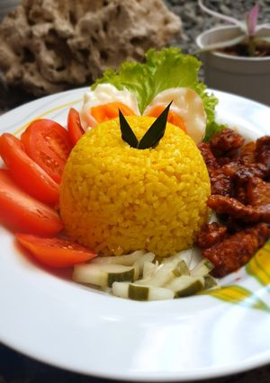 Foto resep 27.Nasi Kuning Magic Com