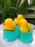 Puding Kolam Bebek (105)