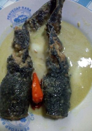 Foto resep Lele santan bumbu ala kadarnya