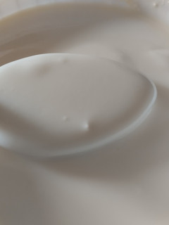 Una foto de Yogur natural sin dulce casero V°3