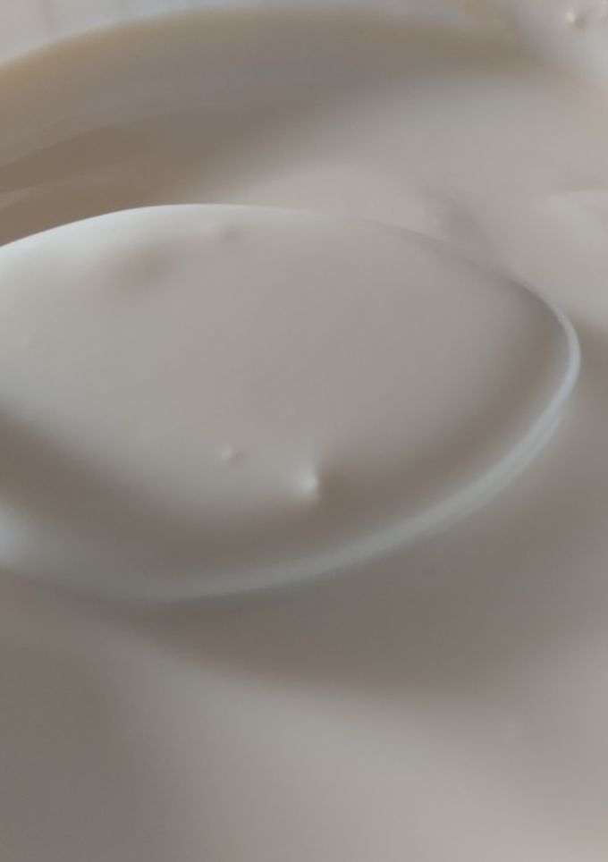 Una foto de Yogur natural sin dulce casero V°3