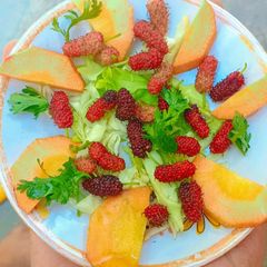 A picture of Shahtoot (mulberry) salad 🥗.
