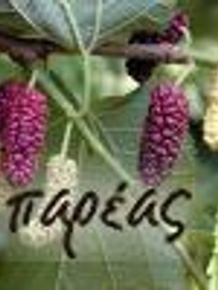 Φωτογραφία της συνταγής Μαρμελάδα μούρων θεραπευτική