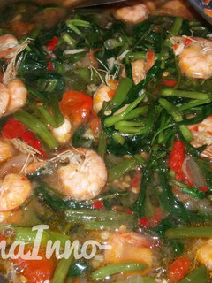 Foto resep Tumis Kangkung Udang