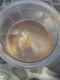 Batido