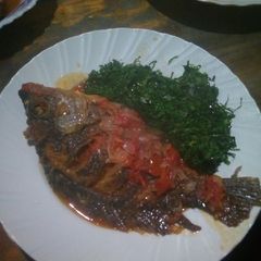 A picture of Fish.