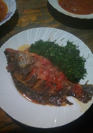 A picture of Fish.