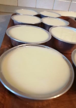 Foto di Panna cotta