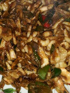 Foto resep Udang saos tiram pedas manis
