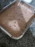 Helado de chocolate con oreo y nutella ♡