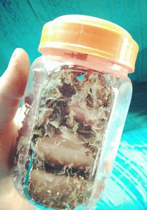 รูปของ ชาใบหม่อนคนกันเอง