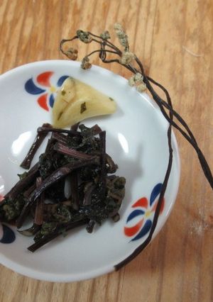 自製蕨菜乾 的食譜成品照片