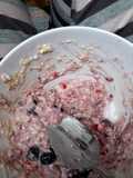 Avena de frutos rojos