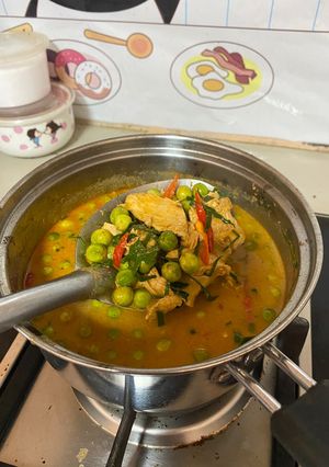 A picture of Panang Chicken Breast Curry.