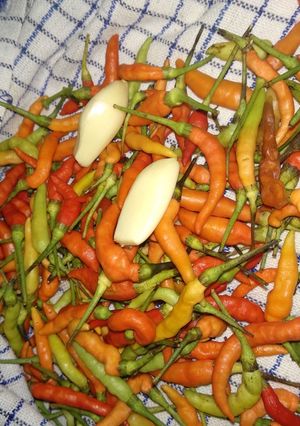 Foto resep Tips menyimpan cabe tanpa tisu bisa tahan lama dan hemat