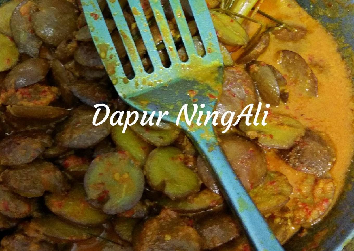Rendang jengkol