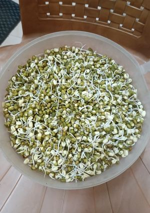 A picture of Sprouts - moong dal.