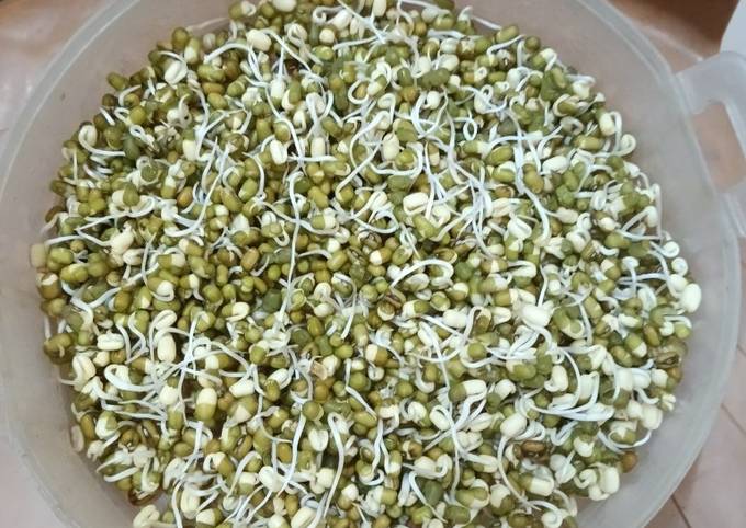 Sprouts - moong dal Recipe by Visu Iyer - Cookpad