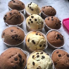 A picture of Muffins😍😍😍😍.