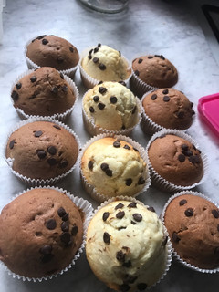 A picture of Muffins😍😍😍😍.