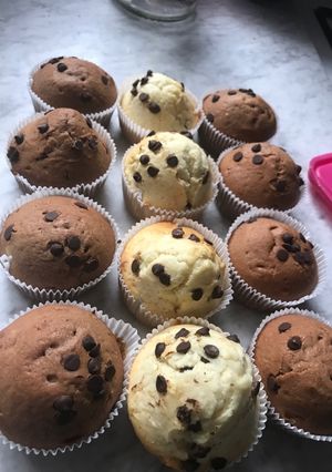 A picture of Muffins😍😍😍😍.