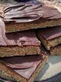 Apocalypse survival bars