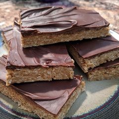 A picture of Apocalypse survival bars.