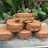 ALFAJORES DE CHOCOLATE sin manteca