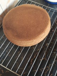 A picture of Sponge cake.