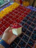 Panna cotta