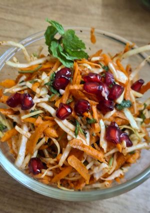 A picture of Cabbage carrot tangy salad.