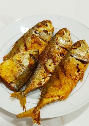 Foto resep Ikan Kembung Goreng Kuning
