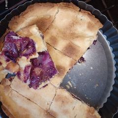 A picture of Jamun pie (Black plum).