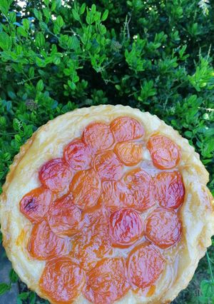 Une photo de Tarte tatin à l'abricot