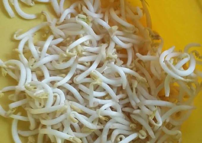 Resep Tips agar tauge selalu segar😄😄 Anti Gagal