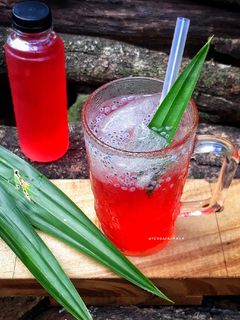 Foto resep Es Sirup Kulit Buah Naga 예르다🍹