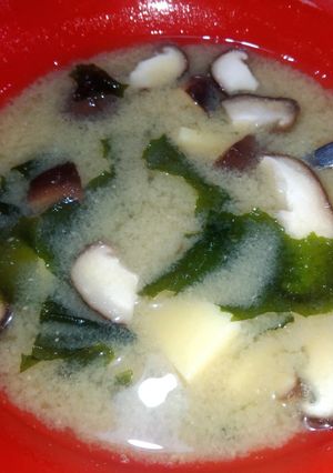 Foto resep Miso shiru aka miso soup