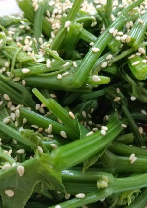 #涼拌龍鬚菜 的食譜成品照片