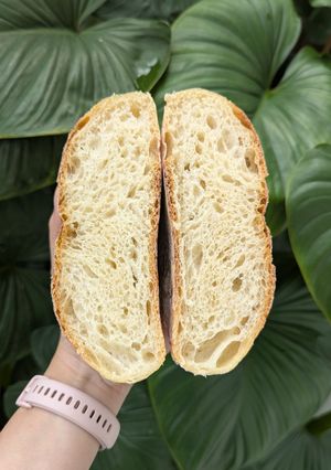 Foto resep Basic Sourdough (70% hydration)