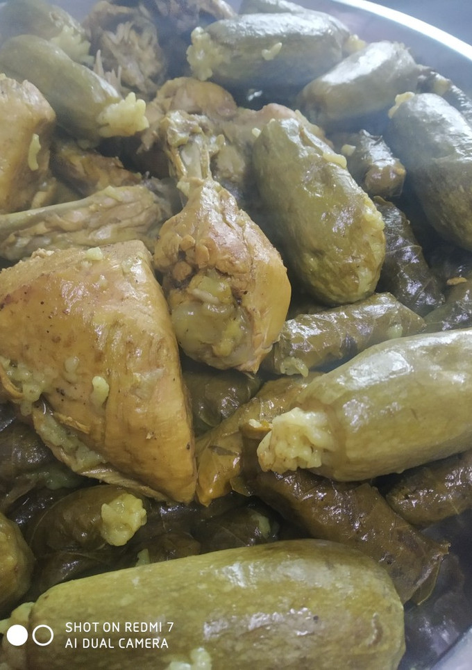 صورة لوصفة ورق دوالي مع الدجاج والكوسا