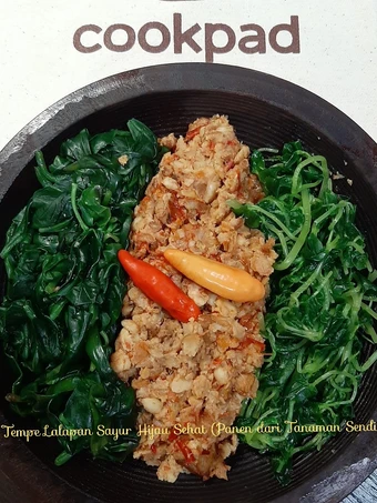 Cara Mudah Menyiapkan Resep Sambel Tempe Lalapan Sayur Hijau Sehat (Panen dr Tanaman Sendiri yang Bikin Ngiler Anti Ribet, Menggugah Selera