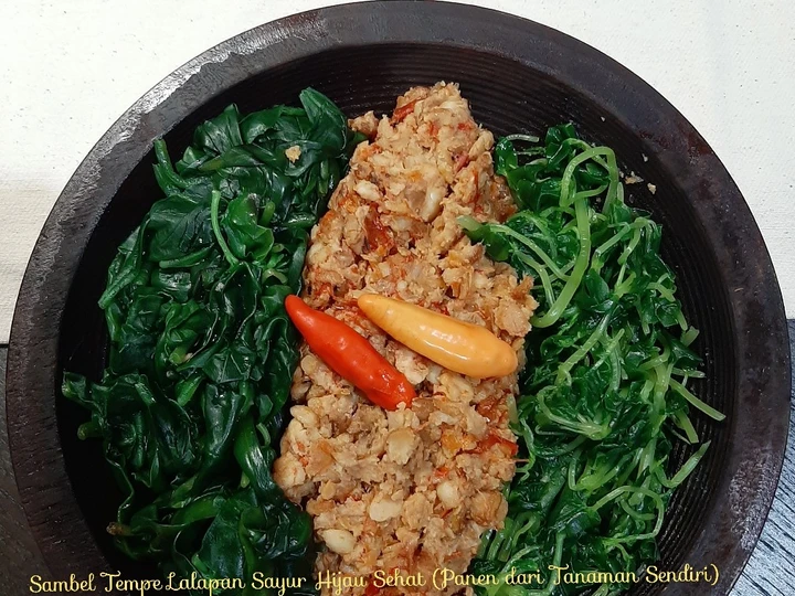 Cara Mudah Menyiapkan Resep Sambel Tempe Lalapan Sayur Hijau Sehat (Panen dr Tanaman Sendiri yang Bikin Ngiler Anti Ribet, Menggugah Selera