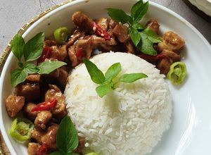 Gambar Nasi Putih Ayam Selasih