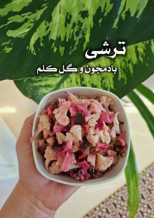 عکسی از دستور ترشی بادمجان و گل کلم فوری